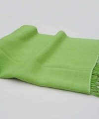 Parrot Green Silk Cashmere Shawl